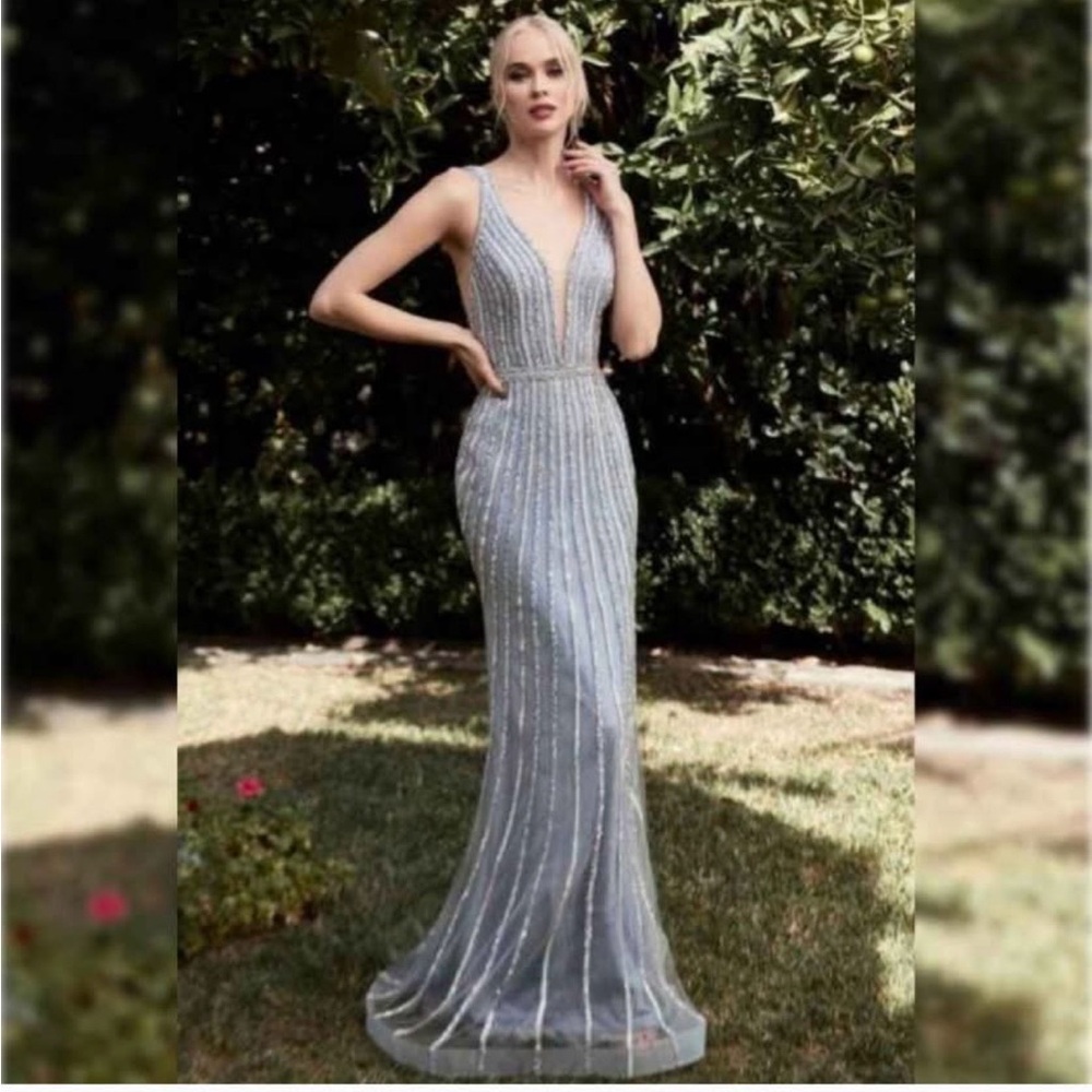 Stunning Silver Maxi Dress